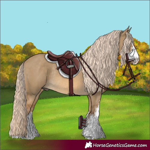 Horse Color:White Spotted Chocolate Palomino Dun Rabicano