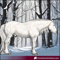 Horse Color:Cremello Appaloosa 