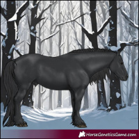 Horse Color:Black 