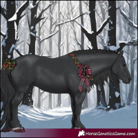 Horse Color:Black 