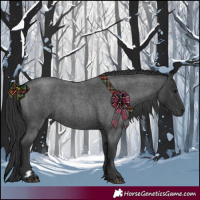 Horse Color:Blue Roan 