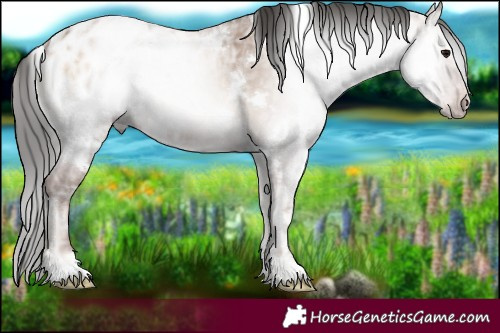 Horse Color:Gray White Spotted Classic Champagne Ice Onyx Blanket