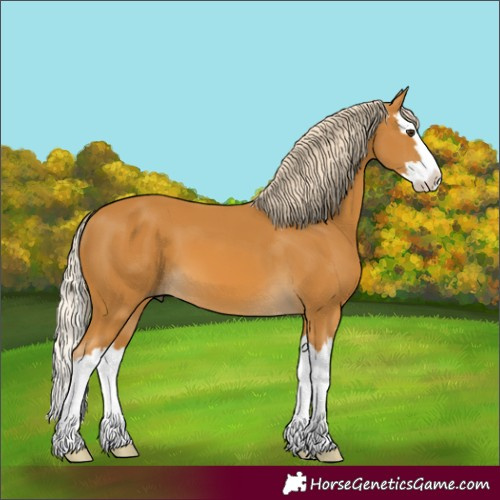 Horse Color:Palomino Splash