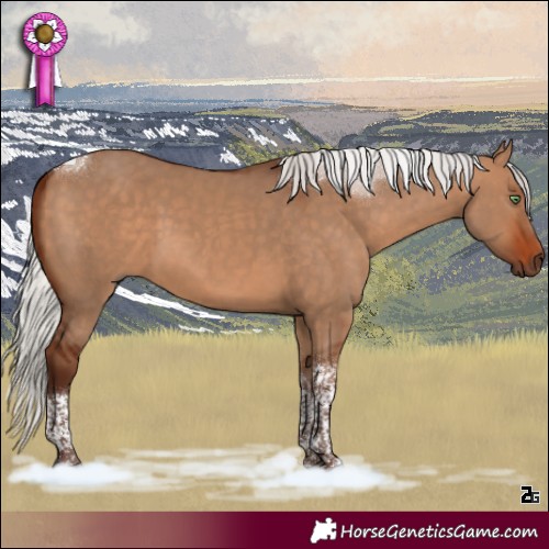 Horse Color:Silver Bay Dun Tobiano Rabicano 