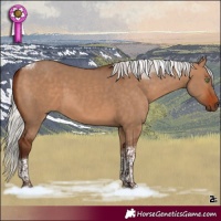 Horse Color:Silver Bay Dun Tobiano Rabicano 