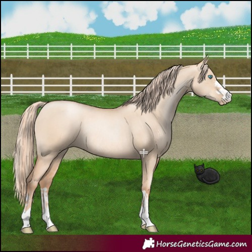 Horse Color:Gold Champagne Pearl Dun Rabicano  and Gold Champagne Pearl Dun Rabicano 