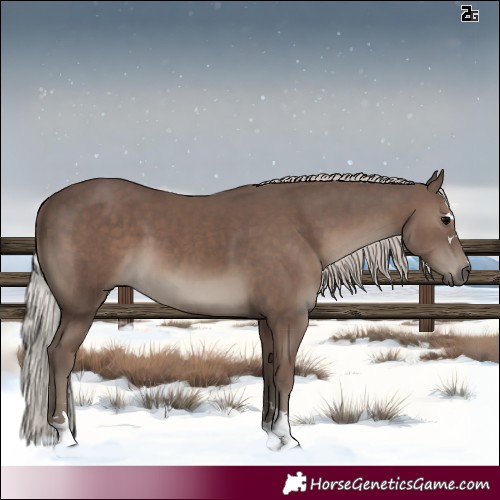 Horse Color:Silver Black 
