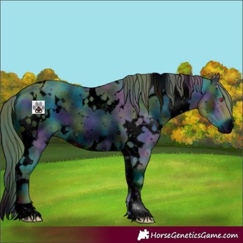 Horse Color:ERROR: UNKNOWN ANOMALY