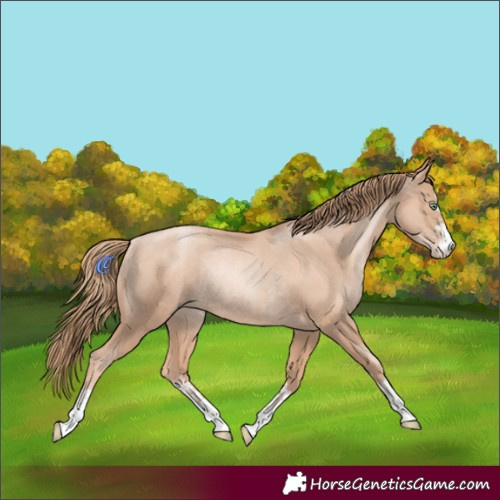 Horse Color:Gold Champagne Pearl Rabicano  and Gold Champagne Pearl Rabicano 