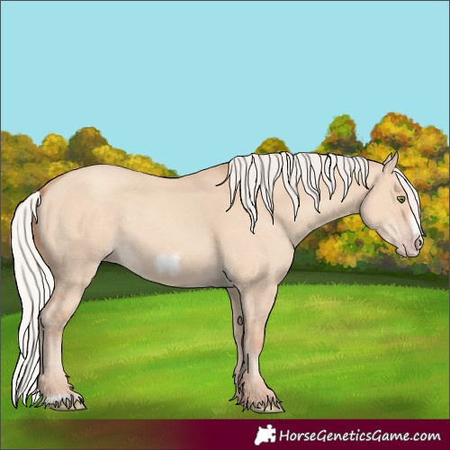 Horse Color:Unknown 