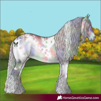 Horse Color:Nacre White Spotted Chocolate Silver Bay Chinchilla Onyx