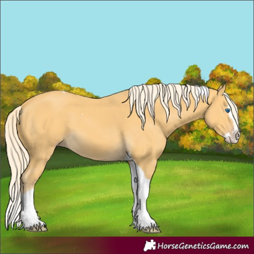 Horse Color:Unknown