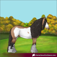 Horse Color:Bay Dun Frame