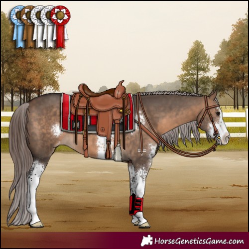 Horse Color:Brown Dun Sabino Varnish 