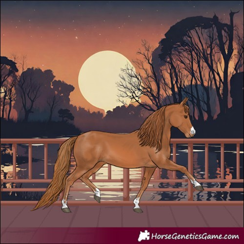 Horse Color:Chestnut 
