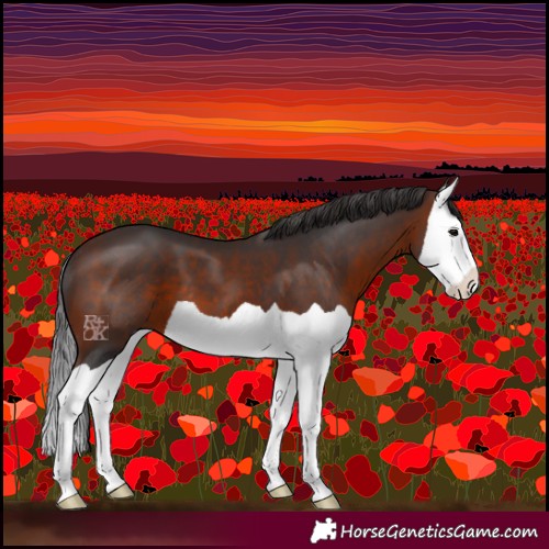 Horse Color:Brown Splash 