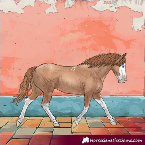 Horse Color:Gold Champagne Splash 
