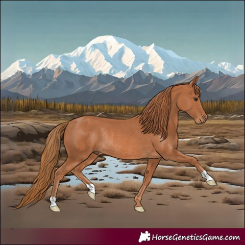 Horse Color:Chestnut Rabicano 