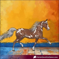 Horse Color:White Spotted Silver Black Varnish