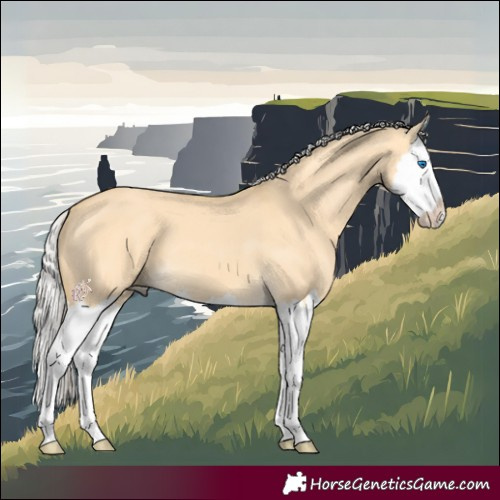 Horse Color:Silver Buckskin Dun Splash 