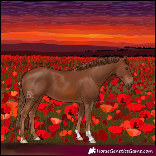 Horse Color:Chestnut 