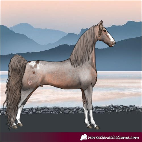 Horse Color:Bay Varnish 