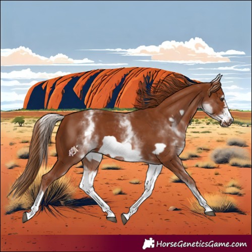 Horse Color:White Spotted Chestnut Frame