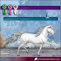 Horse Color:Silver Smoky Grullo Tobiano Varnish