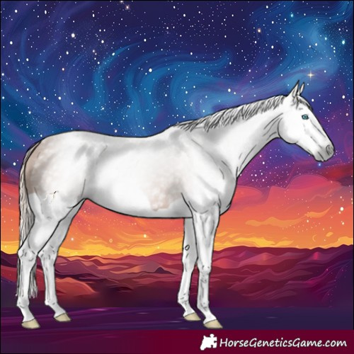 Horse Color:Gray Chestnut Splash 