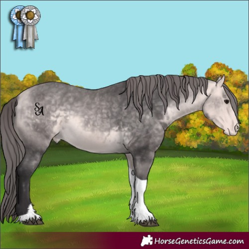 Horse Color:Platinum Buckskin Tobiano Appaloosa 