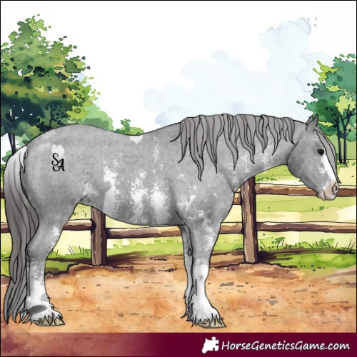 Horse Color:Platinum Black Sabino Appaloosa 
