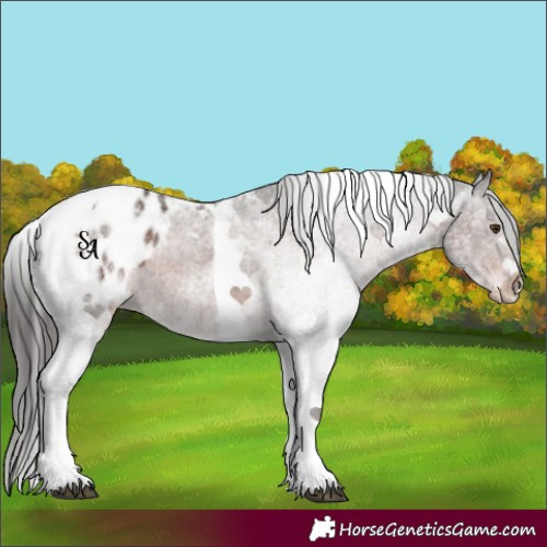 Horse Color:White Spotted Liver Chestnut Tobiano Appaloosa Rabicano 
