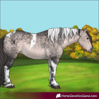 Horse Color:Platinum Buckskin Tobiano 