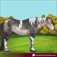 Horse Color:Platinum Buckskin Tobiano 