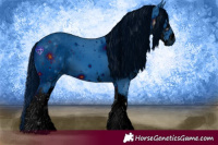 Horse Color:ERROR: UNKNOWN ANOMALY