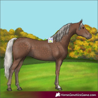Horse Color:Silver Black