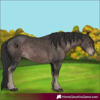 Horse Color:Platinum Liver Chestnut 