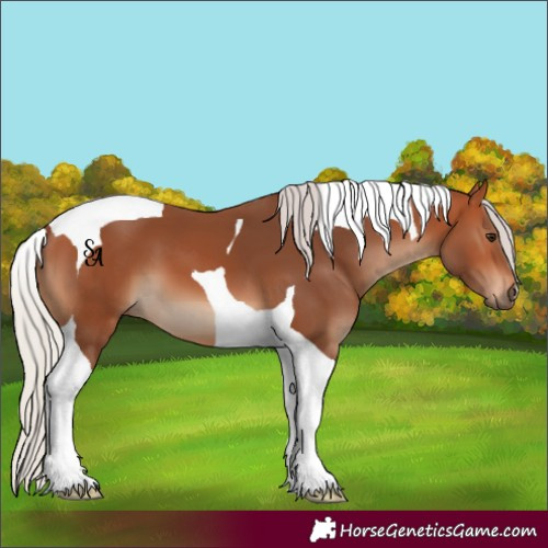 Horse Color:Silver Bay Tobiano 