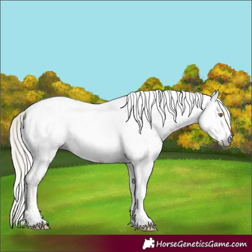 Horse Color:Gray White Spotted Silver Bay Pearl Tobiano 