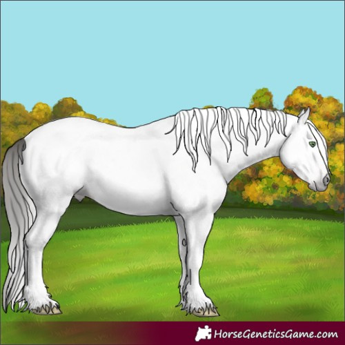 Horse Color:Gray White Spotted Sable Cream Champagne Tobiano