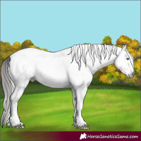 Horse Color:Gray White Spotted Sable Cream Champagne Tobiano 