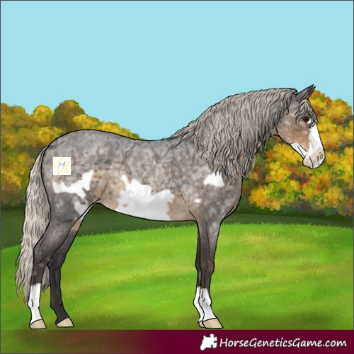 Horse Color:Silver Smoky Blue Ice Roan Frame 
