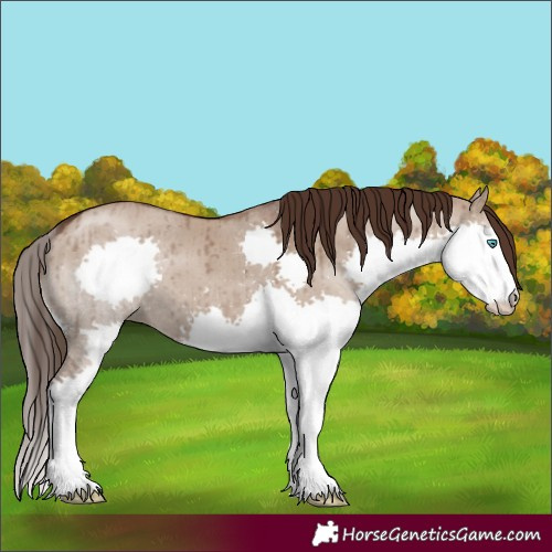 Horse Color:Liver Red Dun Splash Brindle 