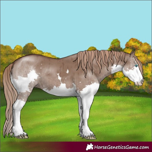 Horse Color:Liver Red Dun Splash Brindle 