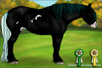 Horse Color:Painted Silver Brown Splash Appaloosa
