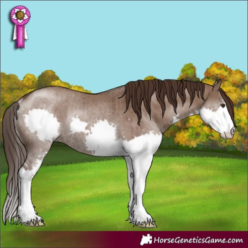 Horse Color:Liver Red Dun Splash Rabicano Brindle 