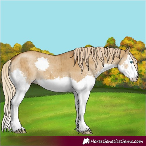 Horse Color:Chocolate Palomino Dun Splash Brindle 