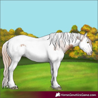 Horse Color:Gray Gold Champagne Splash Tobiano 
