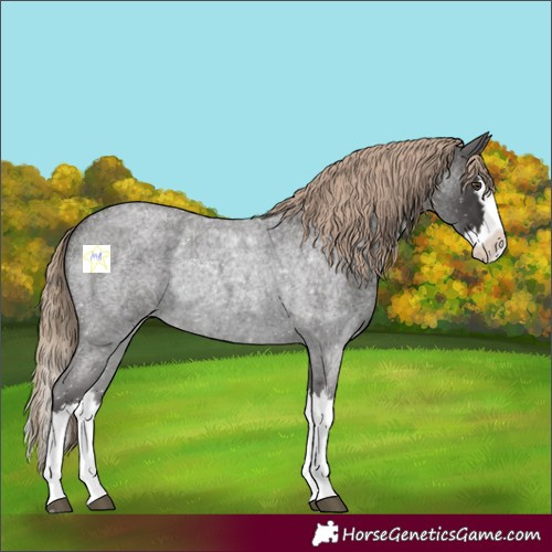 Horse Color:Liver Red Roan Splash 