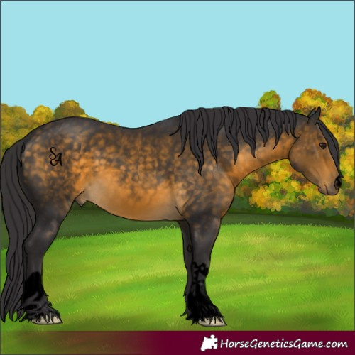 4g Rds Shine Grumpy Behind | HorseGeneticsGame.com